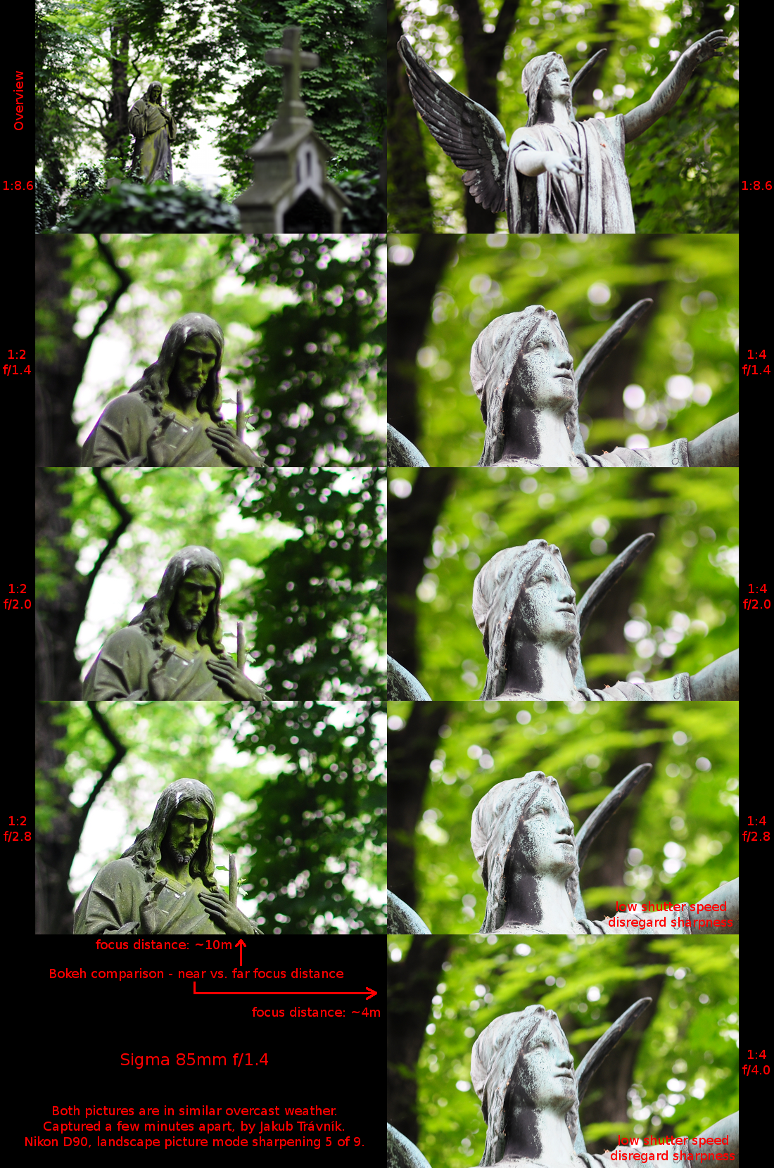 sigma 85/1.4
        background (rear) bokeh for shorter and longer focus
        distances