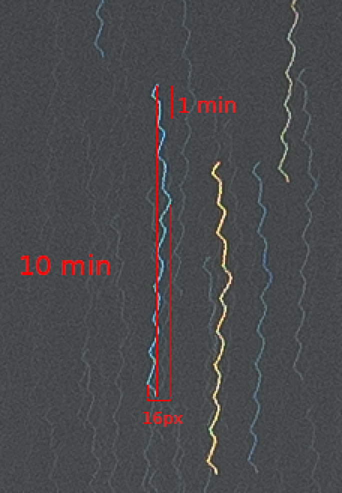 Omegon minitrack LX4 periodic error test after gear mesh. Pixels enlarged. Crop from 60MP on 135mm.