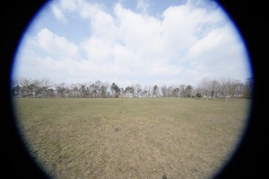 FX image