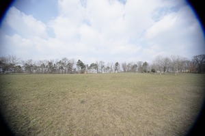 FX image