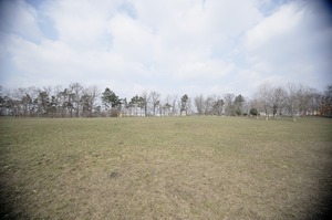 FX image