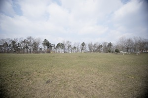 FX image