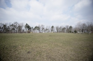 FX image