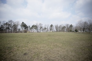FX image