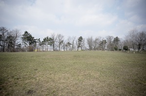 FX image
