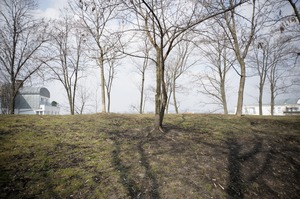 FX image