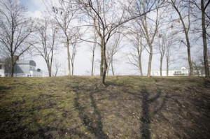 FX image
