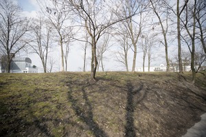 FX image