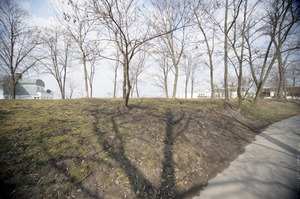 FX image